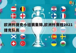 欧洲杯捷克小组赛集锦,欧洲杯赛程2021捷克队员
